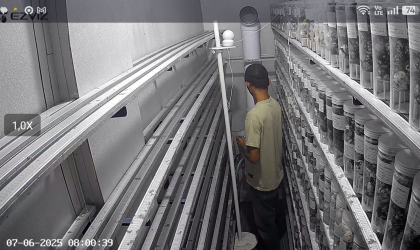 Menemukan Penyu Bertelur di Pantai Sobo