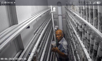 Menemukan Penyu Bertelur di Pantai Boom