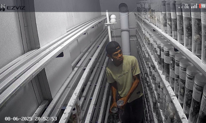 Menemukan Penyu Bertelur di Pantai Pulau Santen