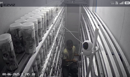 Menemukan Penyu Bertelur di Pantai Sobo