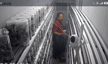 Menemukan Penyu Bertelur di Pantai Pulau Santen