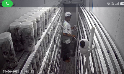 Menemukan Penyu Bertelur di Pantai Pulau Santen