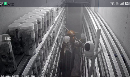 Menemukan Penyu Bertelur di Pantai Boom