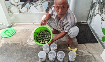 Menemukan Penyu Bertelur di Pantai Boom