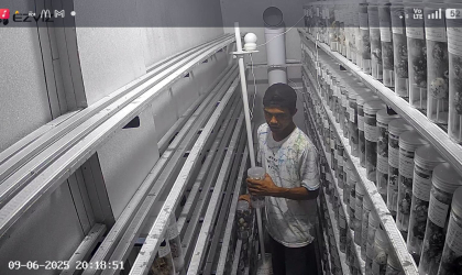 Menemukan Penyu Bertelur di Pantai Sobo