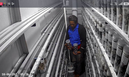 Menemukan Penyu Bertelur di Pantai Boom