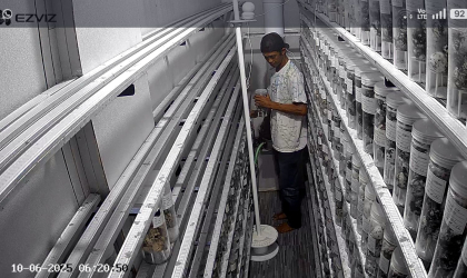 Menemukan Penyu Bertelur di Pantai Pulau Santen