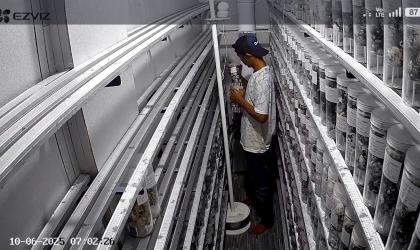 Menemukan Penyu Bertelur di Pantai Sobo