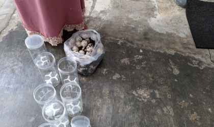 Menemukan Penyu Bertelur di Pantai Donosuko