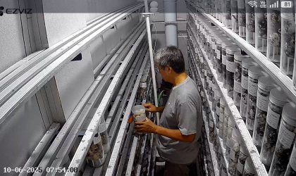 Menemukan Penyu Bertelur di Pantai Donosuko