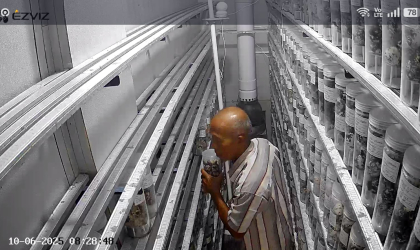 Menemukan Penyu Bertelur di Pantai Boom