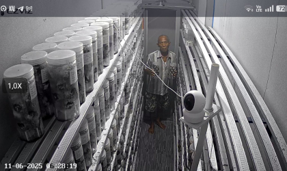 Menemukan Penyu Bertelur di Pantai Gareng