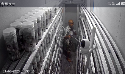 Menemukan Penyu Bertelur di Pantai Pondok Nongko