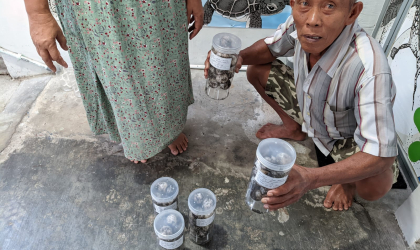 Menemukan Penyu Bertelur di Pantai Pondok Nongko