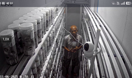 Menemukan Penyu Bertelur di Pantai Boom