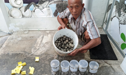 Menemukan Penyu Bertelur di Pantai Boom