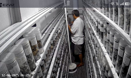 Menemukan Penyu Bertelur di Pantai Donosuko