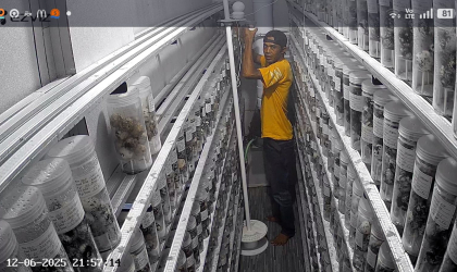 Menemukan Penyu Bertelur di Pantai Sobo