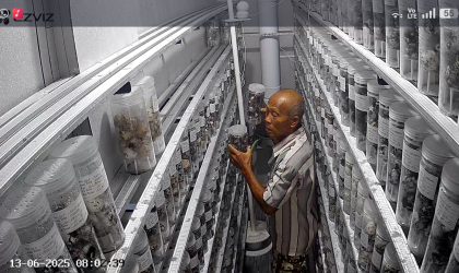 Menemukan Penyu Bertelur di Pantai Boom
