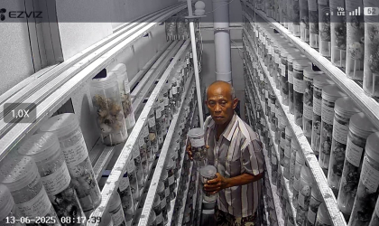 Menemukan Penyu Bertelur di Pantai Mirah