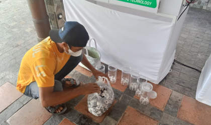 Menemukan Penyu Bertelur di Pantai Sobo