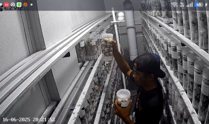 Menemukan Penyu Bertelur di Pantai Pulau Santen