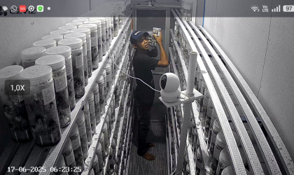 Menemukan Penyu Bertelur di Pantai Pulau Santen