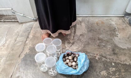 Menemukan Penyu Bertelur di Pantai Gareng