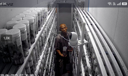 Menemukan Penyu Bertelur di Pantai Boom