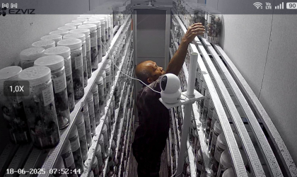 Menemukan Penyu Bertelur di Pantai Boom