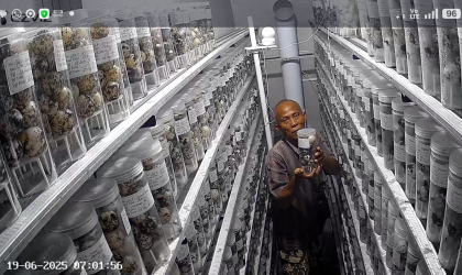 Menemukan Penyu Bertelur di Pantai Boom