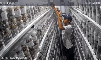 Menemukan Penyu Bertelur di Pantai Pulau Santen