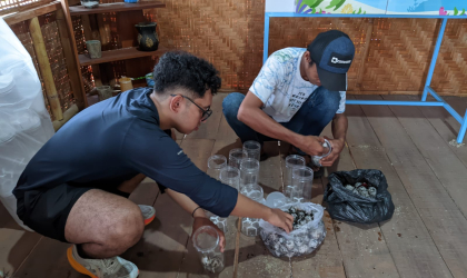 Menemukan Penyu Bertelur di Pantai Sobo