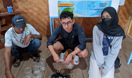 Menemukan Penyu Bertelur di Pantai Sobo