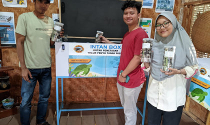 Menemukan Penyu Bertelur di Pantai Sobo