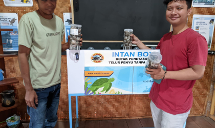 Menemukan Penyu Bertelur di Pantai Pulau Santen