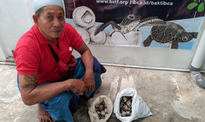 Menemukan Penyu Bertelur di Pantai Boom