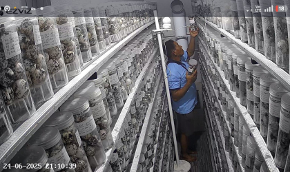 Menemukan Penyu Bertelur di Pantai Boom