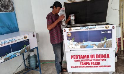 Menemukan Penyu Bertelur di Pantai Pulau Santen