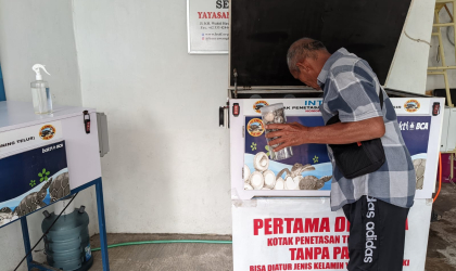 Menemukan Penyu Bertelur di Pantai Mirah