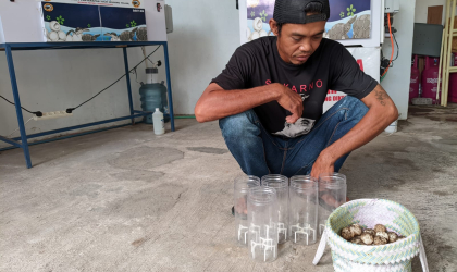 Menemukan Penyu Bertelur di Pantai Pulau Santen