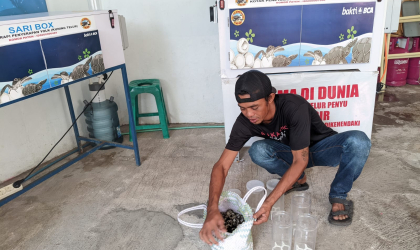 Menemukan Penyu Bertelur di Pantai Pulau Santen