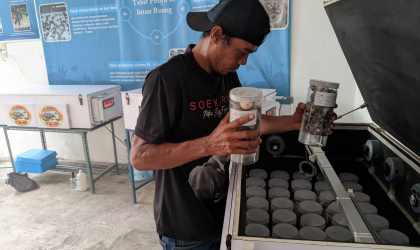 Menemukan Penyu Bertelur di Pantai Pulau Santen