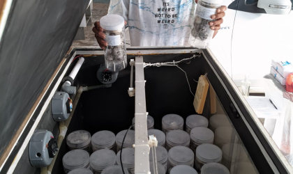 Menemukan Penyu Bertelur di Pantai Pulau Santen