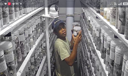 Menemukan Penyu Bertelur di Pantai Sobo