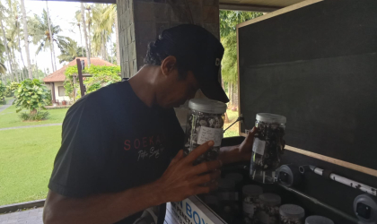 Menemukan Penyu Bertelur di Pantai Boom
