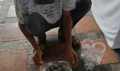 Menemukan Penyu Bertelur di Pantai Sobo