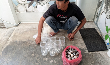 Menemukan Penyu Bertelur di Pantai Pulau Santen