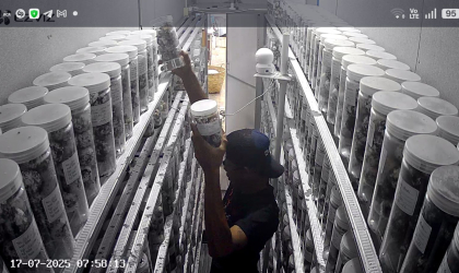 Menemukan Penyu Bertelur di Pantai Pulau Santen