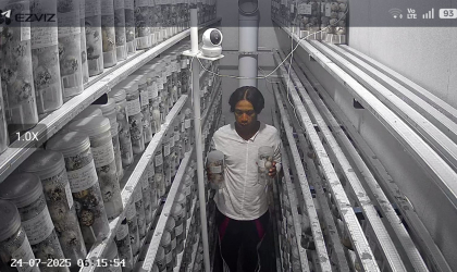 Menemukan Penyu Bertelur di Pantai Pulau Santen